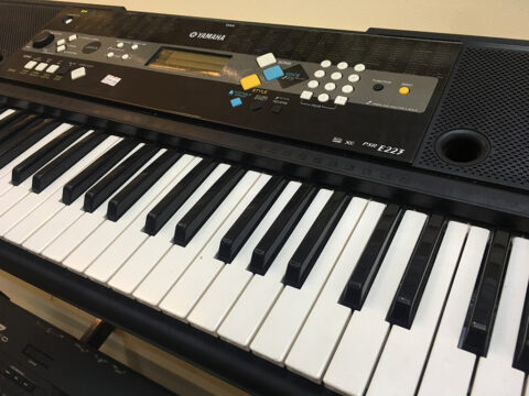 Đàn Organ Yamaha PSR E 223