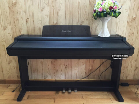 đàn piano điện kawai pw 500