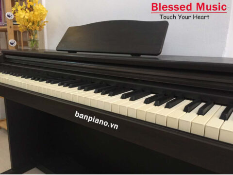 Đàn Piano Điện Casio CDP 7500Đàn Piano Điện Casio CDP 7500