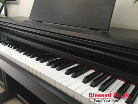 Đàn Piano Điện Kawai PN 220