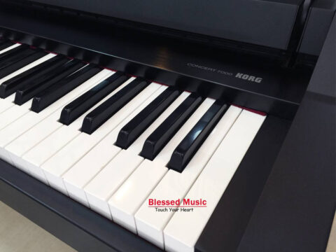 Đàn Piano Điện Korg C 7000