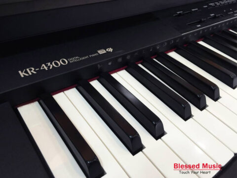 Mua Đàn Piano Điện Roland KR 4300 | Đàn Piano Điện | Piano Tân Bình