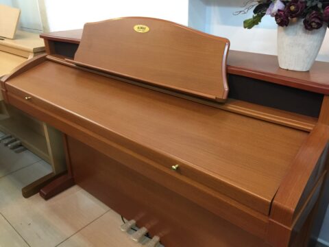 Đàn Piano điện Kawai PW 1200