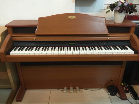 Đàn Piano điện Kawai PW 1200