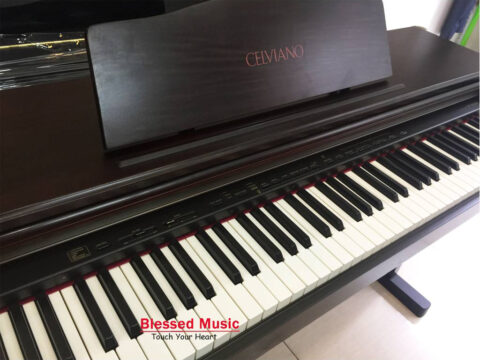 Đàn Piano Điện Casio CDP 8000