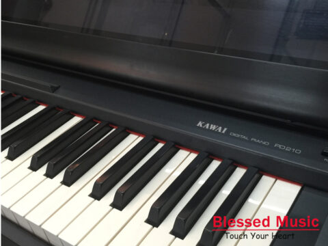 Đàn Piano Điện Kawai PD 210