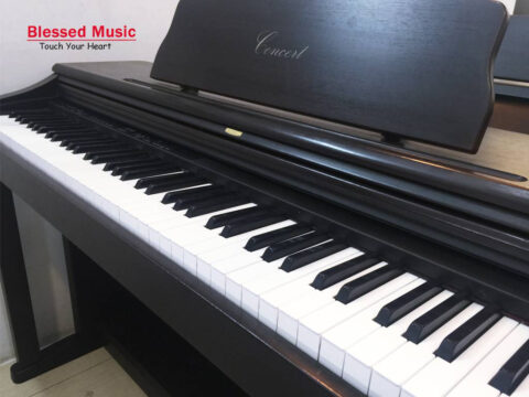 Đàn Piano Điện Korg C 505