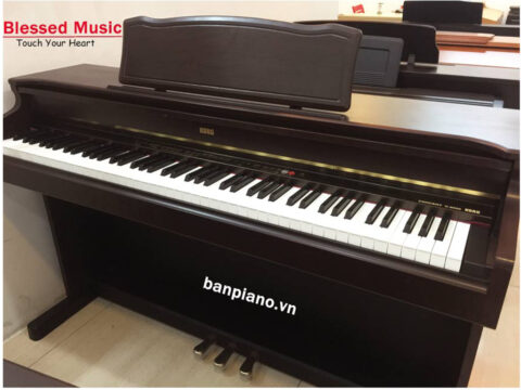 Mua Đàn Piano Điện Korg C 6500 | Đàn Piano Điện | Piano Tân Bình