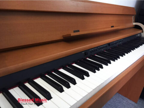 Đàn Piano Điện Roland DP 900