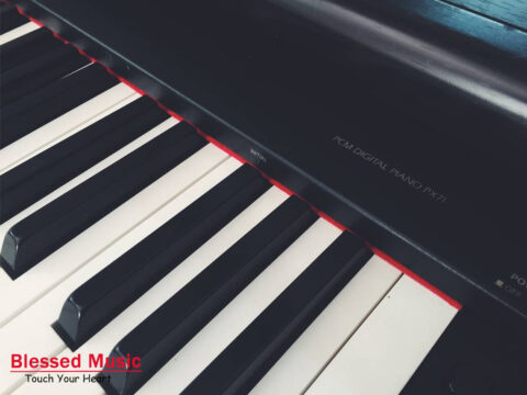 Đàn Piano Điện Technics PX 71