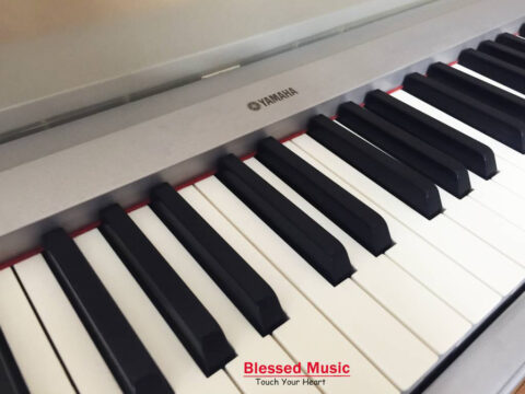 Đàn Piano Điện Yamaha P 60