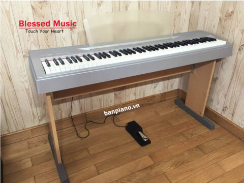 Đàn Piano Điện Yamaha P 60