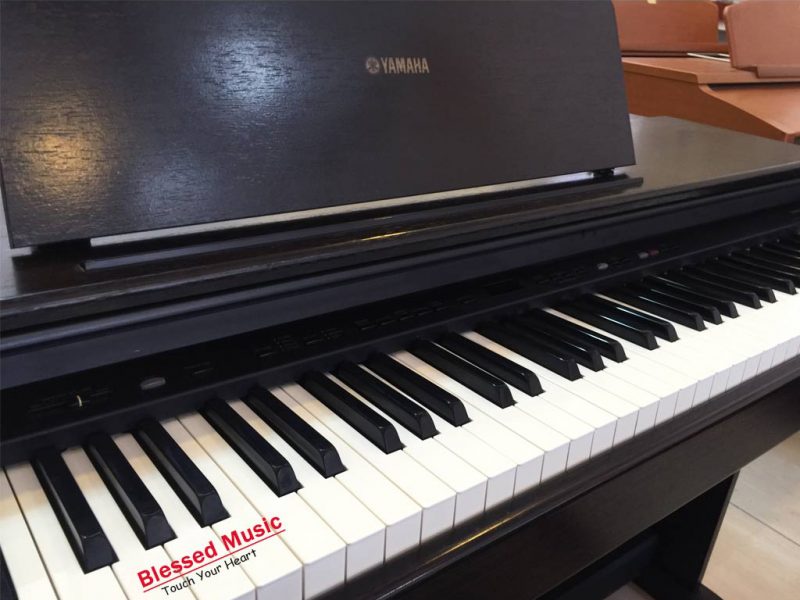 Đàn Piano Điện Yamaha YDP 101