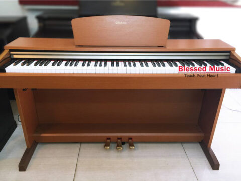Đàn Piano Điện Yamaha YDP 151C