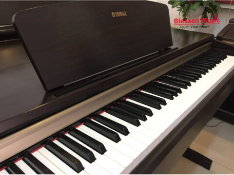 Đàn Piano Điện Yamaha YDP 151