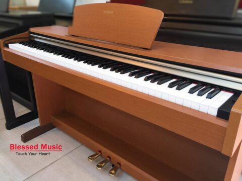Đàn Piano Điện Yamaha YDP 151C