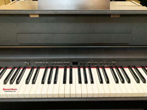 Đàn Piano điện Roland DP 900