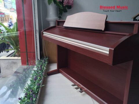 Đàn Piano điện Kawai PW 1000M