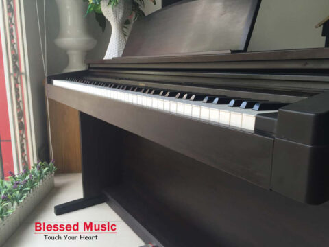 Đàn Piano Điện Roland HP 230
