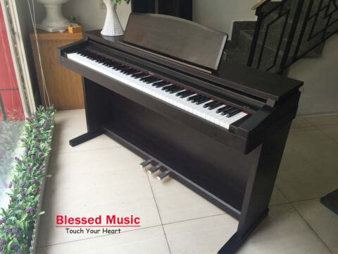 Đàn Piano Điện Roland HP 230