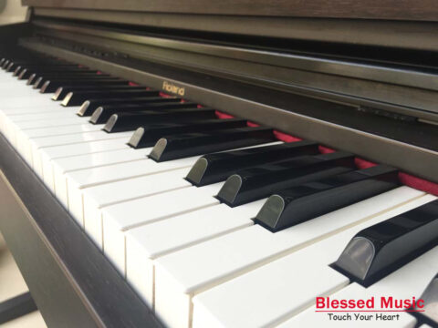 Đàn Piano Điện Roland HP 230