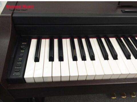 Bán piano Roland MP 101
