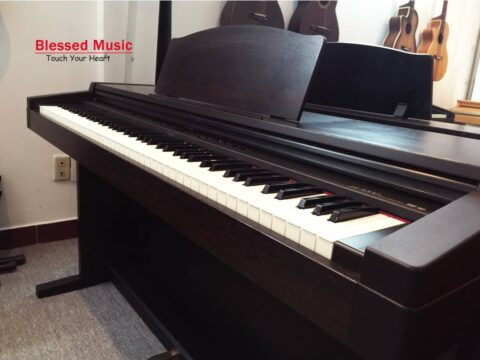 Bán Piano Roland PT 1000