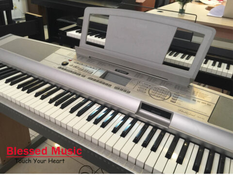Bán Piano Yamaha DGX 500