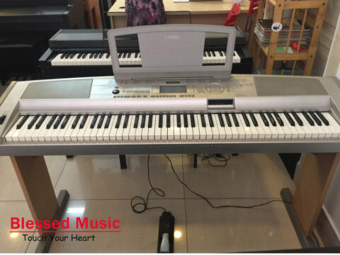 Bán Piano Yamaha DGX 500