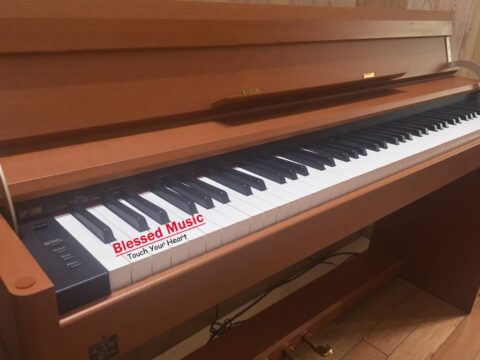 Đàn Piano Điện Roland DP 1000