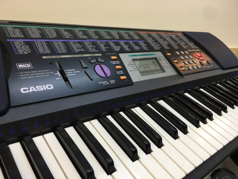 Đàn Organ Casio CTK 501