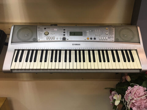 Đàn Organ Yamaha PSR E303