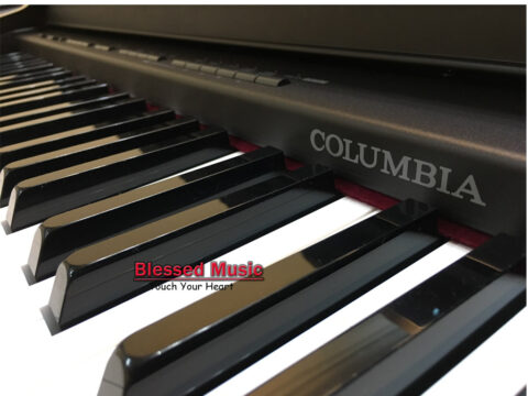 Alternative view of Đàn Piano Điện Columbia EP 2200