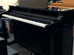 Đàn Piano điện Roland HP 307 PE