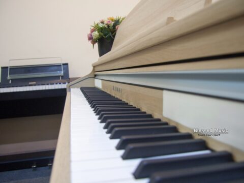 Đàn Piano điện Kawai CA 17 Lo