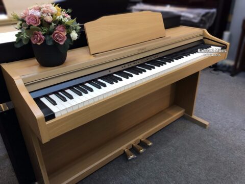 Đàn Piano Điện RP 501R