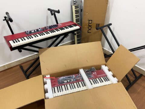 Đàn Nord Electro 6d