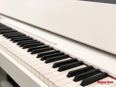 Đàn Piano điện Roland F 110WH