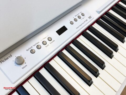 Đàn Piano điện Roland F 120
