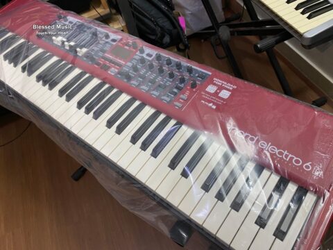 đàn Nord Electro 6D 73