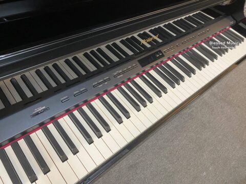 Đàn Piano Roland LX 15 PE