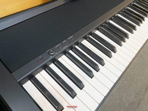 Đàn Piano điện Korg B2