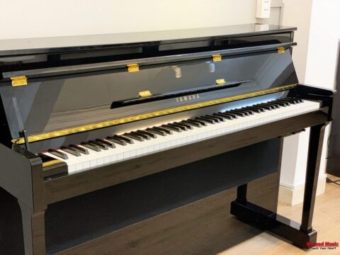 Đàn Piano điện Yamaha DUP 10 PE