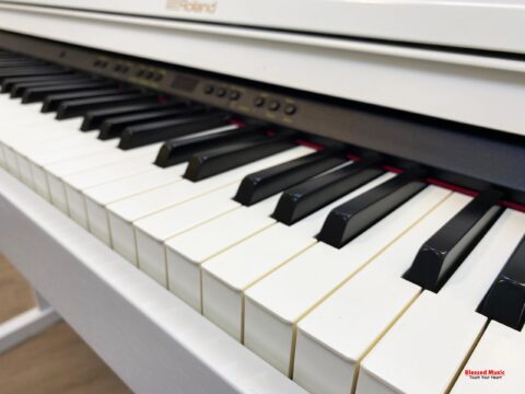 Đàn Piano điện Roland RP501r