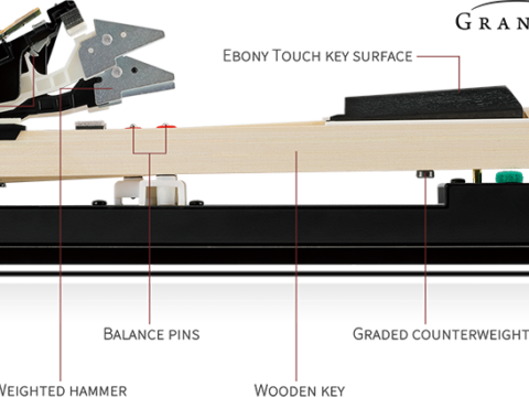 Hệ Phím Grand Feel III