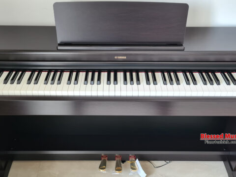 Đàn Piano điện Yamaha YDP 165R