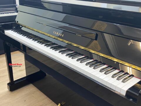 Đàn Piano điện Yamaha DUP 22 PE