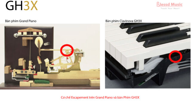 Bàn phím GH3X trên các dòng Clavinova cao cấp
