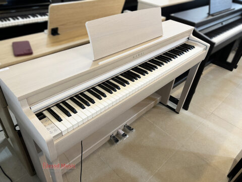 Đàn Piano Điện Kawai CN 201