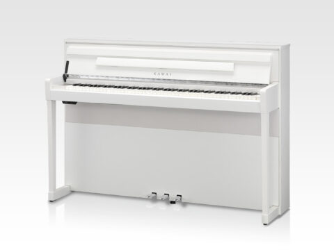 Đàn Piano Điện Kawai CA 99W